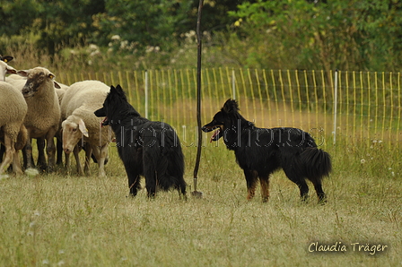 Verschiedene Altdeutsche zusammen / Bild 35 von 72 / 28.07.2019 13:09 / DSC_7496.JPG