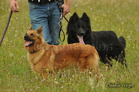 Verschiedene Altdeutsche zusammen / Bild 34 von 72 / 28.07.2019 13:47 / DSC_7918.JPG