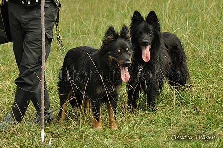 Verschiedene Altdeutsche zusammen / Bild 32 von 72 / 07.09.2019 11:52 / DSC_6644.JPG