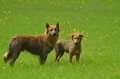 Vorschau von Bild 17 von 98