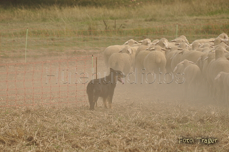 Gelbbacke / Bild 365 von 500 / 12.09.2015 12:03 / DSC_6835.JPG