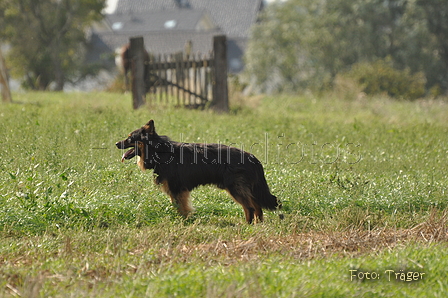 Gelbbacke / Bild 351 von 500 / 12.09.2015 14:20 / DSC_7369.JPG