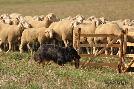 Gelbbacke / Bild 350 von 500 / 12.09.2015 14:25 / DSC_7400.JPG