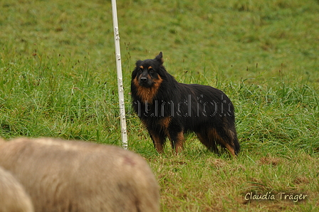 Gelbbacke / Bild 247 von 500 / 10.09.2017 11:07 / DSC_4303.JPG