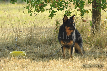 Gelbbacke / Bild 235 von 500 / 29.07.2018 08:42 / DSC_6393.JPG