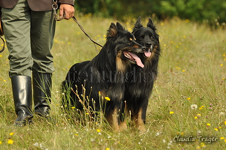 Gelbbacke / Bild 148 von 500 / 28.07.2019 10:29 / DSC_5916.JPG
