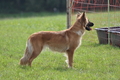 Vorschau von Bild 658 von 755