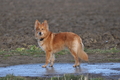 Vorschau von Bild 427 von 755