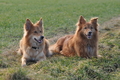 Vorschau von Bild 426 von 755