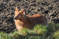 Vorschau von Bild 424 von 755