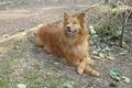 Vorschau von Bild 414 von 755