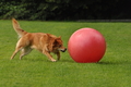 Vorschau von Bild 394 von 755