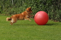 Vorschau von Bild 393 von 755