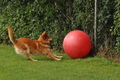 Vorschau von Bild 392 von 755