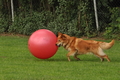 Vorschau von Bild 391 von 755