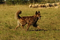 Vorschau von Bild 141 von 755