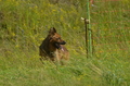 Vorschau von Bild 82 von 851