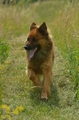 Vorschau von Bild 61 von 851