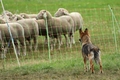 Vorschau von Bild 7 von 851