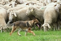 Vorschau von Bild 2 von 810