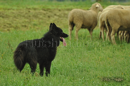 Schwarzer / Bild 122 von 225 / 13.09.2015 14:28 / DSC_1508.JPG