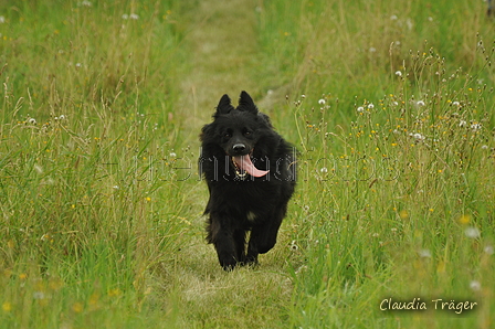 Schwarzer / Bild 46 von 225 / 28.07.2019 14:26 / DSC_8467.JPG