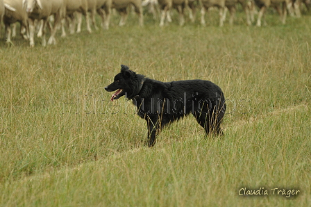 Schwarzer / Bild 30 von 225 / 08.09.2019 14:40 / DSC_2327.JPG