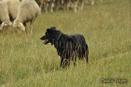 Schwarzer / Bild 29 von 225 / 08.09.2019 14:40 / DSC_2334.JPG