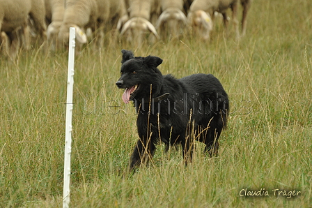 Schwarzer / Bild 28 von 225 / 08.09.2019 14:40 / DSC_2336.JPG