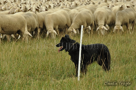 Schwarzer / Bild 27 von 225 / 08.09.2019 14:40 / DSC_2341.JPG