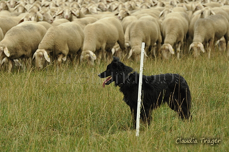 Schwarzer / Bild 26 von 225 / 08.09.2019 14:40 / DSC_2346.JPG