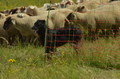 Vorschau von Bild 16 von 25