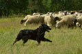 Vorschau von Bild 15 von 25