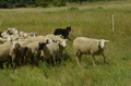 Vorschau von Bild 11 von 25