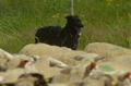 Vorschau von Bild 10 von 25
