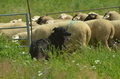 Vorschau von Bild 9 von 25