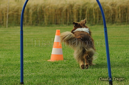 Australian Shepherd / Bild 24 von 140 / 18.07.2020 18:03 / DSC_9016.JPG