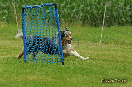 Australian Shepherd / Bild 22 von 140 / 19.07.2020 12:23 / DSC_9577.JPG