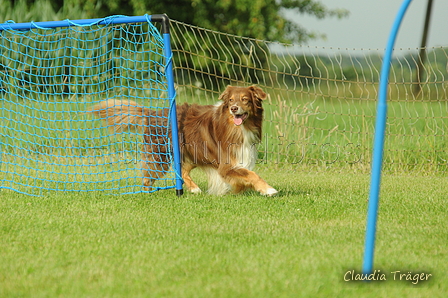 Australian Shepherd / Bild 19 von 140 / 19.07.2020 18:20 / DSC_0933.JPG