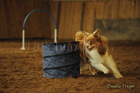 Australian Shepherd / Bild 16 von 140 / 03.10.2020 11:53 / DSC_8204.JPG