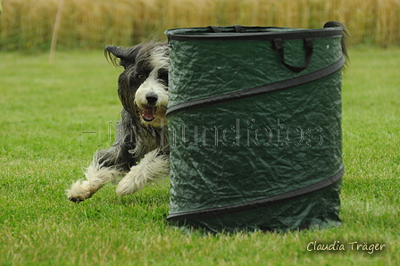 Bearded Collie / Bild 1 von 38 / 19.07.2020 15:24 / DSC_0222.JPG