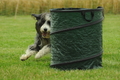 Bearded Collie / Bild 1 von 38 / 19.07.2020 15:24 / DSC_0222.JPG