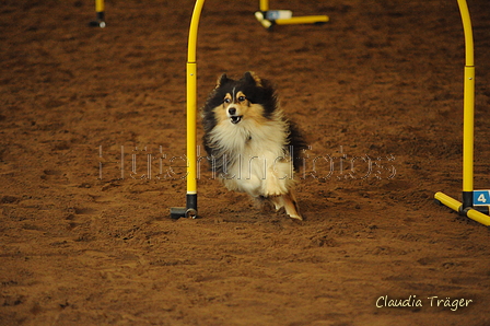 Sheltie / Bild 6 von 22 / 03.10.2020 09:48 / DSC_7901.JPG