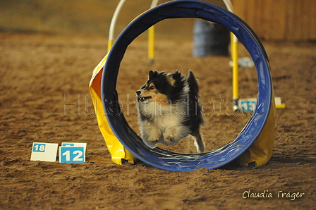 Sheltie / Bild 5 von 22 / 04.10.2020 12:19 / DSC_9911.JPG