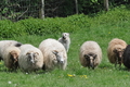 Vorschau von Bild 29 von 73