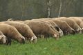 Vorschau von Bild 293 von 620