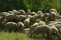 Vorschau von Bild 21 von 641