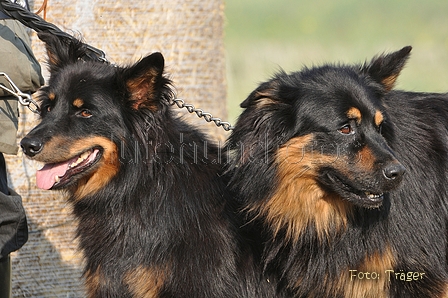 AAH Bundesh&uuml;ten 2014 / Bild 9 von 175 / 20.09.2014 10:01 / DSC_2294.JPG