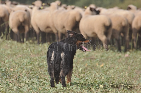 AAH Bundeshüten 2014 / Bild 47 von 175 / 20.09.2014 13:54 / DSC_4177.JPG