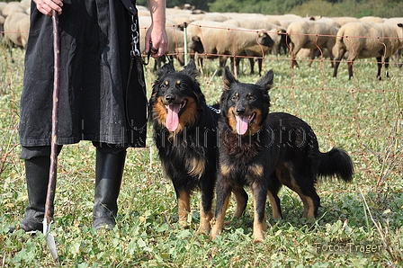 AAH Bundeshüten 2014 / Bild 52 von 175 / 20.09.2014 14:04 / DSC_9363.JPG